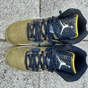 Jordan | Shoes | Nike Air Jordan Spike Forty Lee Dunk From  display picture 2